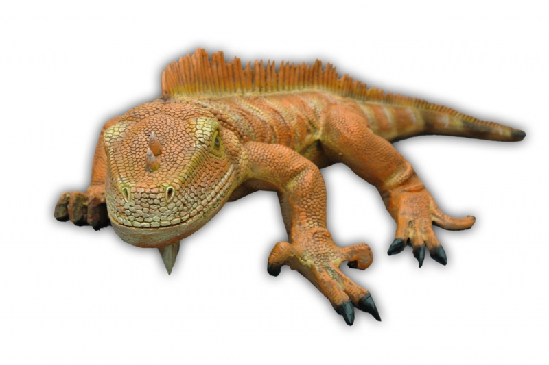 Iguana (New Color) 3ft. wide / Fiberglass