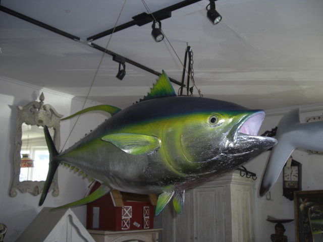 Yellow-fin Tuna / Fiberglass - Click Image to Close