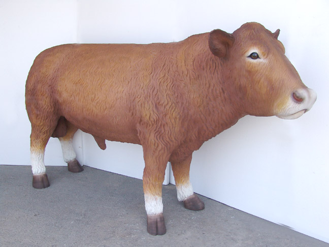South Devon Bull (Angus) - Click Image to Close
