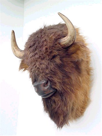 Mounted Bison Head - Click Image to Close