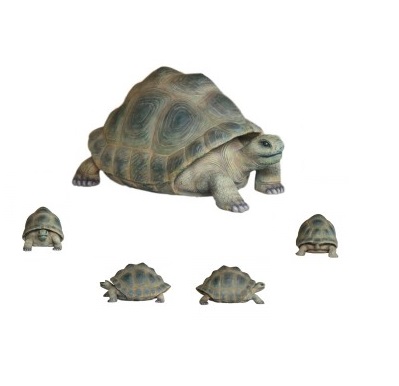 Aldabra Turtle - Click Image to Close