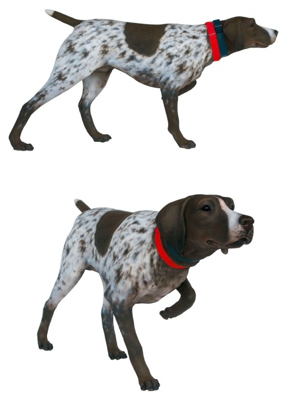 german shorthaired pointer dog german shorthaired pointer german shorthaired pointer christmas