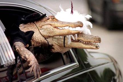 Crocodile Statues