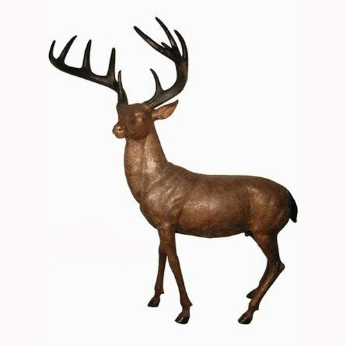 American White Tail Deer American White Tail Deer