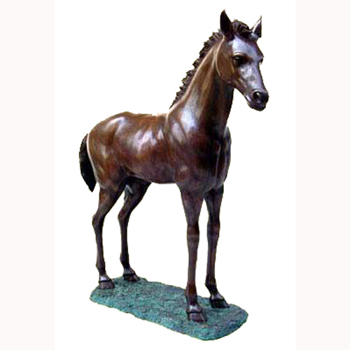 Bronze Foal