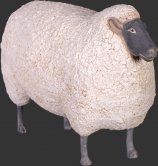 Small Sheep / Fiberglass Small Sheep / Fiberglass