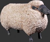 Sheep Jumbo / Fiberglass Sheep Jumbo / Fiberglass