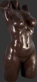 Female Torso Bronze Finish / Fiberglass Female Torso Bronze Finish / Fiberglass