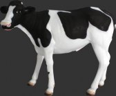 Calf Life Size Calf Life Size