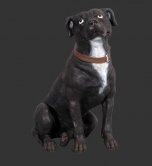 Staffordshire Terrier / Fiberglass Staffordshire Terrier / Fiberglass