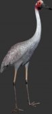 Brolga Crane / Fiberglass Brolga Crane / Fiberglass