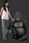 Silver Black Gorilla / Fiberglass Silver Black Gorilla / Fiberglass