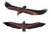 Wedge-Tailed Eagle Flying / Fiberglass Wedge-Tailed Eagle Flying / Fiberglass