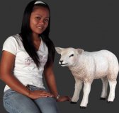 Texelaar Lamb / Fiberglass Texelaar Lamb / Fiberglass