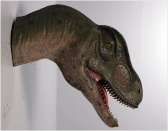 Allosaurus Head - Mouth Open / Fiberglass Allosaurus Head - Mouth Open / Fiberglass
