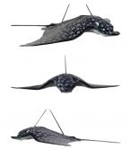 Spotted Eagle Ray / Fiberglass Spotted Eagle Ray / Fiberglass