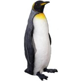 King Penguin King Penguin