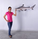 Black Tip Reef Shark / Fiberglass Black Tip Reef Shark / Fiberglass