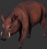 Fiberglass Wild Boar Fiberglass Wild Boar