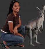 Kangaroo with Joey 3ft. Kangaroo with Joey 3ft.
