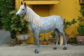 Appaloosa Horse 7 ft. Appaloosa Horse 7 ft.