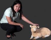 Merino Lamb Resting / Fiberglass Merino Lamb Resting / Fiberglass
