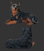 Blue Heeler - Lying Down / Fiberglass Blue Heeler - Lying Down / Fiberglass
