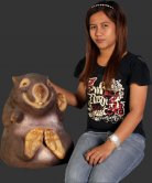 Funny Wombat Funny Wombat