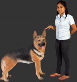 German Shepherd German Shepherd