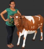 Guernsey Cow (with or without Horns) Guernsey Cow (with or without Horns)