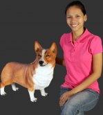 Corgi Dog - Standing Corgi Dog - Standing