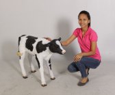 Newborn Calf Newborn Calf