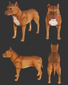 Pitbull Statue Pitbull Statue