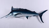 Blue Marlin Blue Marlin