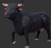 Spanish Fighting Bull Spanish Fighting Bull