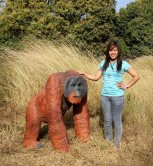 Walking Male Orangutan Statue Walking Male Orangutan Statue