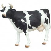 Cow with black spots - Head-Up (lookin' for the right guy) Cow with black spots - Head-Up (lookin' for the right guy)
