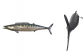 Wahoo Fish Wall Decor Wahoo Fish Wall Decor