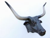 Bull Head with Long Horns (Black) / Fiberglass Bull Head with Long Horns (Black) / Fiberglass