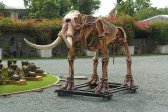 Mastodon Skeleton (Life-Size) Mastodon Skeleton (Life-Size)