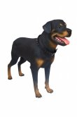 Rottweiler Rottweiler