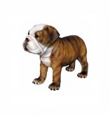 Bulldog Puppy 1ft. Bulldog Puppy 1ft.