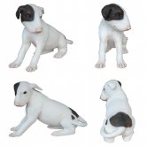 Bull Terrier Dog Puppy Bull Terrier Dog Puppy
