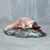 Duck-billed platypus Duck-billed platypus