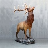 Elk Elk