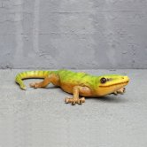 Gecko Gecko