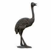 Bronze Ostrich Bronze Ostrich