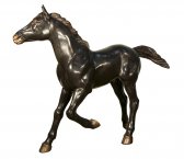 Bronze Colt Bronze Colt
