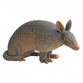 Life Size Armadillo Statue Life Size Armadillo Statue