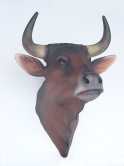 Bull Head Bull Head
